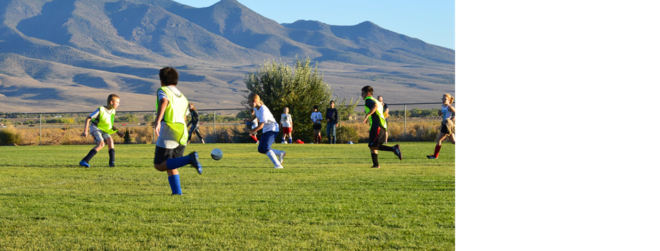 Player Development